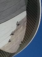 Calatayud, Calatrava, Valence,Palau de las Artes, Valence,lepetitjournal.com, Espagne