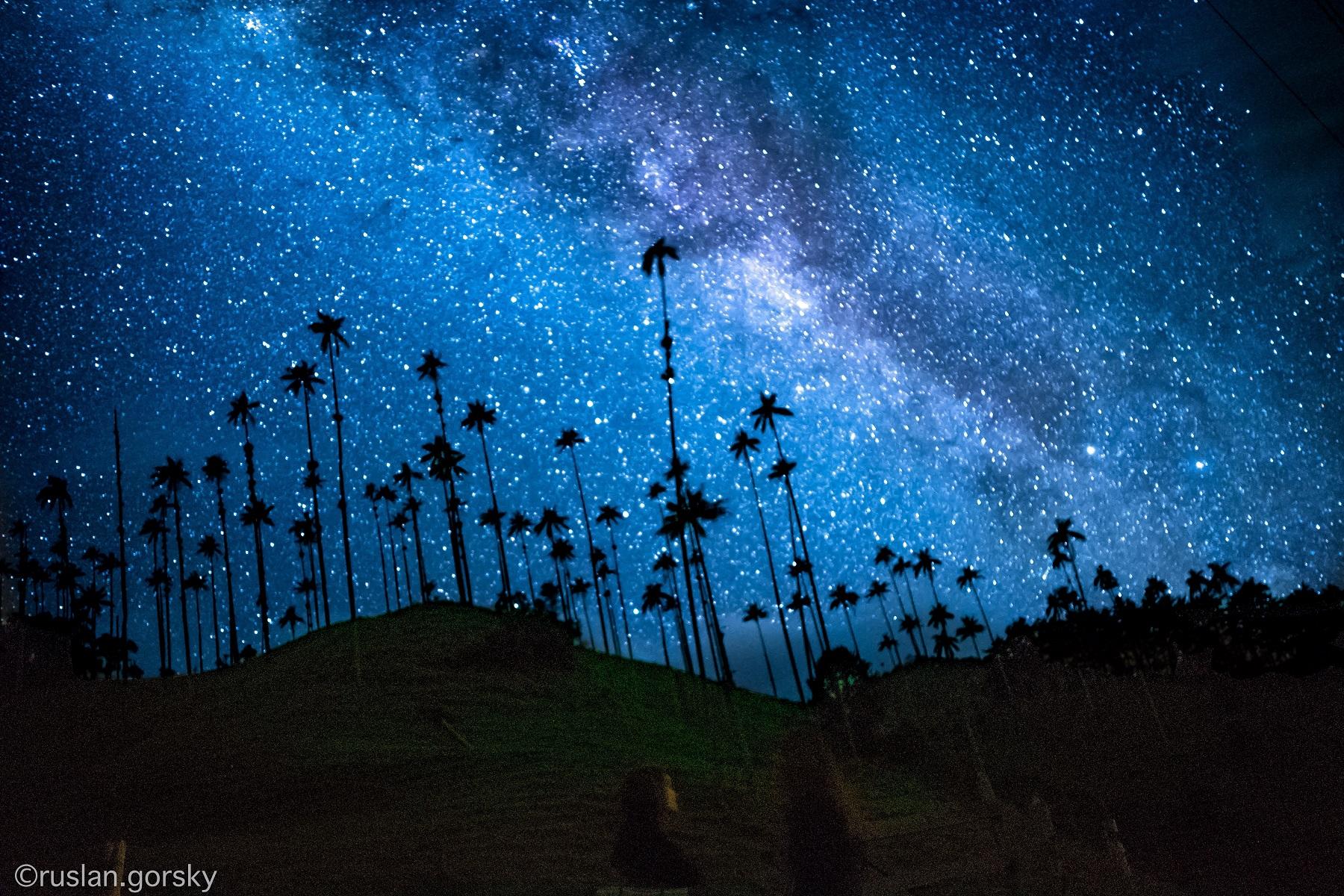 valle del cocora Colombie Ruslan Gorsky 2