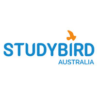 studybird australie