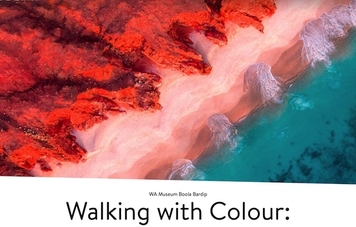 Musée Boola Bardip: Walking with Colour: Cinematic Nature by Michael Haluwana