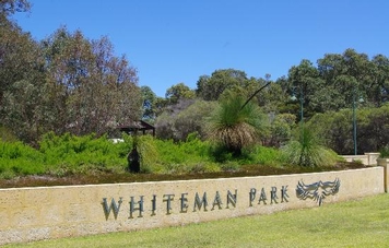 Whiteman - Caversham wildlife park