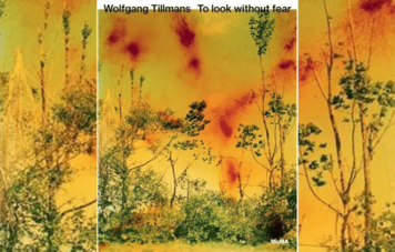 Wolfgang Tillmans : To look without fear