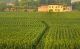 entreprise agricole italie