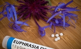homeopathie/jakarta/indonesie/sante