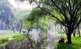 parcs Shanghai
