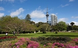 Auckland 2ème ville la plus verte du monde 