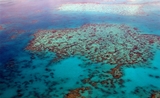 Australie grande barrière de corail