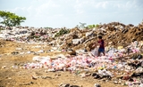 Plastic Free July plastique juillet mois environnement planète recyclage déchet emballage