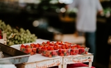 fraises fruit aiguille Queensland Australie enquête crime Woolworths