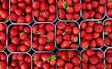 fraise fruit aiguille crime enquête Australie Queensland