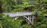 bridge-to-nowhere whanganui river