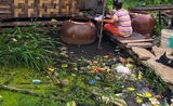 La Birmanie face à ses défis écologiques