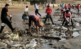 Nettoyage plage de Dadar Mumbai par des volontaires