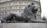 beasts of london rencontrez animaux Londres projection parcours immersif musée de Londres