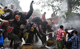 Songkran-elephant-Thailande