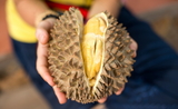 le durian, fruit tres odorant mais populaire en Thailande