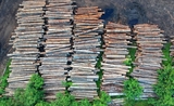 Brésil déforestation, politique environnemental, Ricardo Salles, menaces environnementales, Le Monde, Claire Gatinois.