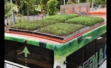 Panneaux végétaux, bus, Singapour