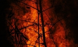 Incendies Brésil Amazonie