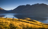 Randonnées à vélo Nouvelle-Zélande