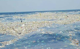 Garbage-Department-Marine-and-Coastal-Resources
