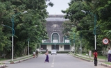 les anciens arbres de l'universite de Yangon en Birmanie