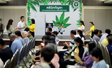 Clinique-cannabis-thailande-