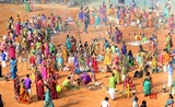 une ambiance de Pongal dans le Tamil Nadu