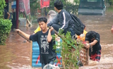 bilan inondation indonésie 