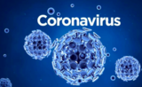 Coronavirus Suède