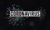 coronavirus Pologne covid 19