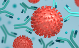 anticorps recherche coronavirus
