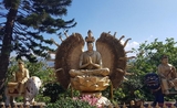 Sha Tin week-end escapade Tai Po monastère visite