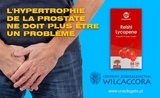 Prostate Lycopène