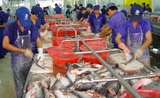 L'industrie de la pêche et ses 3 millions d'emplois sont en danger en Birmanie