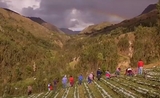 voix agriculture familiale Pérou suco formagro