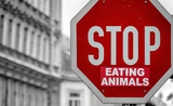stop animal manger viande