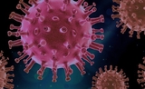 nouveaux cas coronavirus Hambourg 