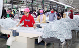 industrie textiles, exportations