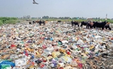 déchets chennai india inde collecte