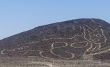 lignes nasca pérou géoglyphe félin paracas