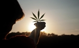 Légalisation cannabis récréatif