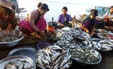 Aquaculture marches UE Birmanie soutien