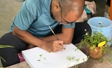 vietnam peintre naturaliste dao van hoang