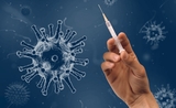 Covid 19 plateforme vaccination 