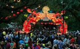 lantern auckland festival 