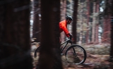 Un mountain bike dans la forêt viennoise