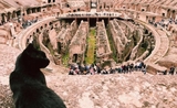Nerina observant le Colisée