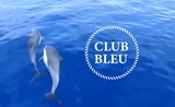CLUB BLEU BLUE TALKS SAISON BLEUE