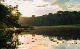 La France contribue à la protection de l'Amazonie péruvienne